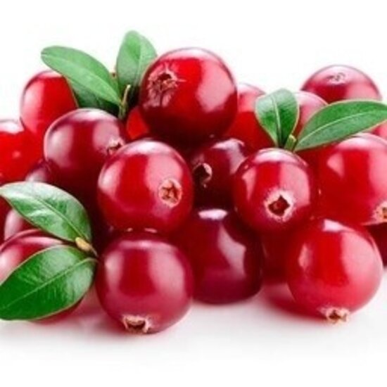 AW GERMAN STYLE CRANBERRY