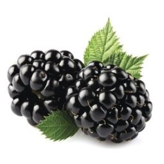 AW GREEK STYLE BLACKBERRY