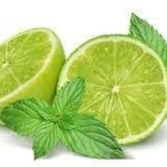 LIME & MENTHOL