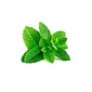 CAPELLA FRESH SPEARMINT  1ML