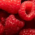 TPA RASPBERRY (RIPE)