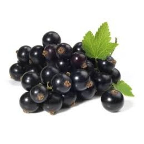 AW GERMAN STYLE SCHWARZE JOHANNISBEERE