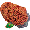 Boon aqua deco Boon Aqua Deco ornament polyresin reef flower rood/geel, 18x11x7 cm.