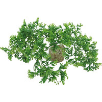 Sydeco Sydeco kunststofplant Tropical Moss, 7 cm.