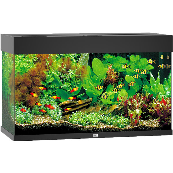 Verspreiding ik heb het gevonden mythologie Juwel aquarium Rio 125 LED met filter, zwart. - Dierenspeciaalzaak Hereba