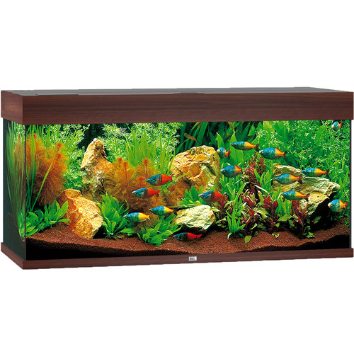 Juwel Juwel aquarium Rio 180 LED met filter, donkerbruin.