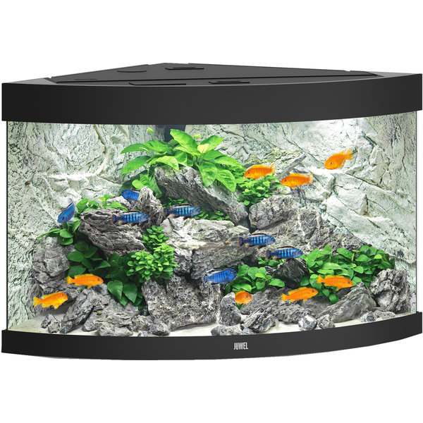 januari schoonmaken artillerie Juwel aquarium Trigon 190 LED met filter, zwart. - Dierenspeciaalzaak Hereba