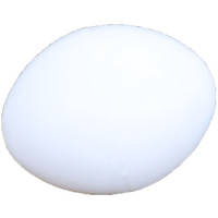 Boon parkieten eieren, plastic.