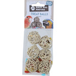 Back Zoo Nature Back Zoo Nature treat balls met sunflower seed, zak a 6 stuks.