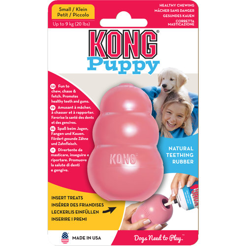 Kong Kong hond Puppy, small.