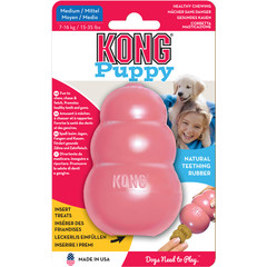 Kong Kong hond Puppy, medium.