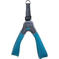 Coralpina Coralpina harness Cinquetorri turquoise, maat 4. C100TU040