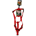 Boon Boon Dog fashion BH-tuig nylon 15 mm x H40-B55 cm, rood.