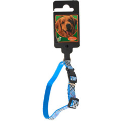Boon Dog fashion Boon Dog fashion nylon/PVC halsband verstelbaar 10 mm x 20-35 cm, Caledonia blauw.