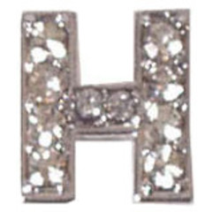 Boon Dog fashion Boon Dog fashion letter klein voor naamhalsband, H.