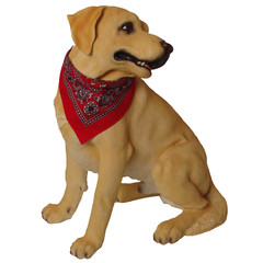 Boon Dog fashion Boon Dog fashion halsband met zakdoek 35 cm, rood.