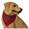 Boon Dog fashion Boon Dog fashion halsband met zakdoek 40 cm, rood.