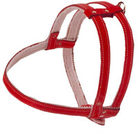 Boon Dog fashion Boon Dog fashion borsttuig gevoerd rood, 10 mm/45 cm.