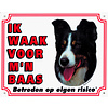 Waakbord groot in kleur, Border Collie.