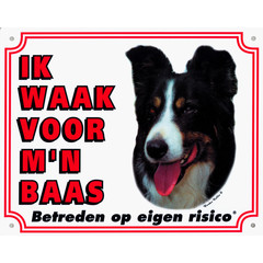 Waakbord groot in kleur, Border Collie.