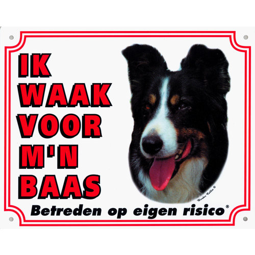 Waakbord groot in kleur, Border Collie.