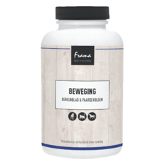 Frama FRAMA BERKENBLAD & PAARDBLOEM 150GR (NIEREN)