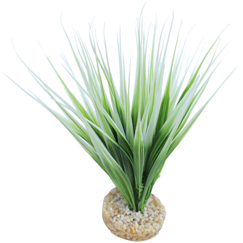 Sydeco Sydeco kunststofplant Oasis, 15 cm.