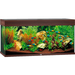 Juwel Juwel aquarium Rio 180 LED met filter, donkerbruin.