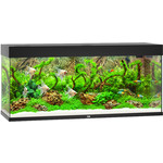 Juwel Juwel aquarium Rio 240 LED met filter, zwart.