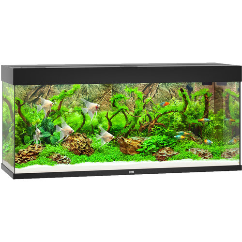 Juwel Juwel aquarium Rio 240 LED met filter, zwart.