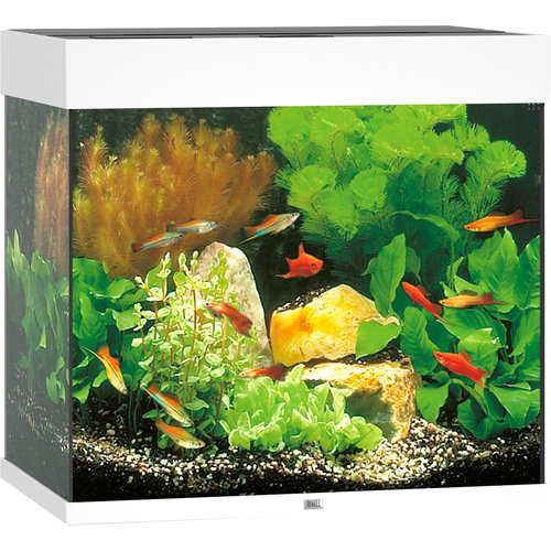 Juwel Juwel aquarium Lido 120 LED met filter, wit.