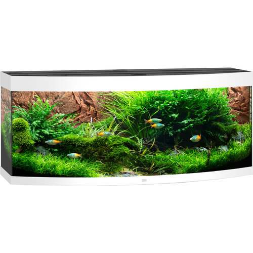 Juwel Juwel aquarium Vision 450 LED met filter, wit.