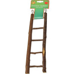 Boon Boon vogelspeelgoed ladder hout Natural 5 traps, 22 cm.