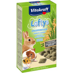 Vitakraft Vitakraft knaagdier Loftys, 100 gram.