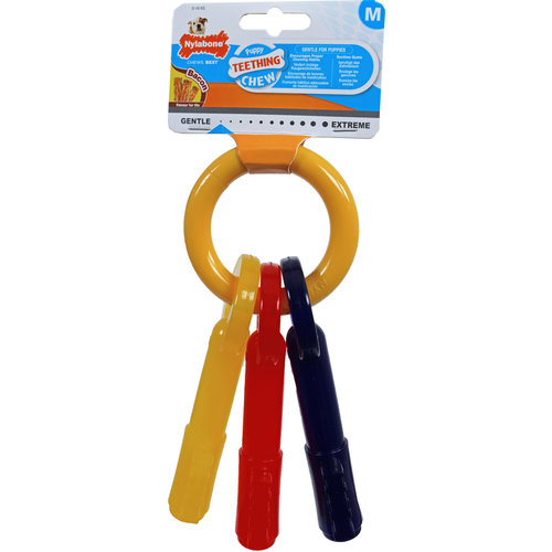 Nylabone Nylabone Puppy Chew, teething key M.