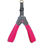 Coralpina Coralpina harness Cinquetorri fluorizerend roze, maat 3. C100PF030