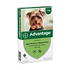 Advantage Advantage Hond 40 1 st. < 4 kg