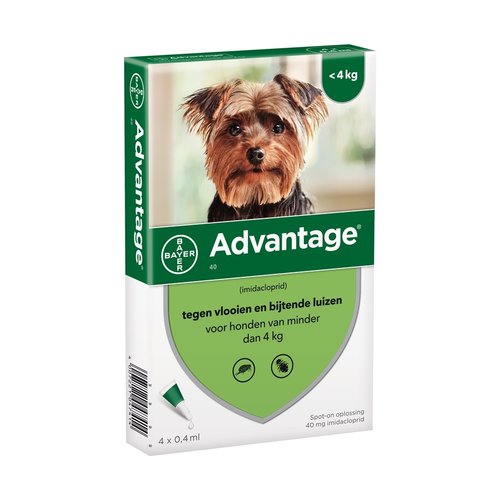 Advantage Advantage Hond 40 1 st.