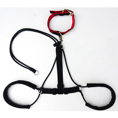 Horgan Harnass X-Large 1 st. Extra Large