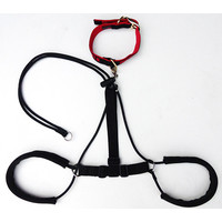 Horgan Harnass Medium 1 st. Medium