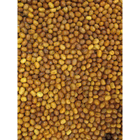 Tijssen goed voor dieren Duivenbonen 25 kg.