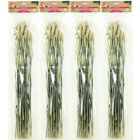 Esve Pet Bouquet Tarweakker 1 st.