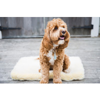 Huggle Hounds HuggleFleece Mat Small 1 st. Small