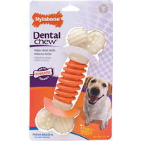 Nylabone Nylabone P.A. Dental Device L 1 st. Large