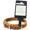 Tijssen goed voor dieren Halsband Vetleer Cognac 1 st. 12 mm / 35 cm