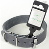 Tijssen goed voor dieren Halsband Vetleer Grijs 1 st. 35 mm / 60 cm