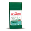 Royal Canin Mini Puppy 2 kg.