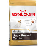 Royal Canin Jack Russel Junior 3 kg.