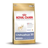 Royal Canin Chihuahua 30 Junior 500 gr.