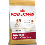 Royal Canin Cavelier King Charles Puppy 1,5 kg.